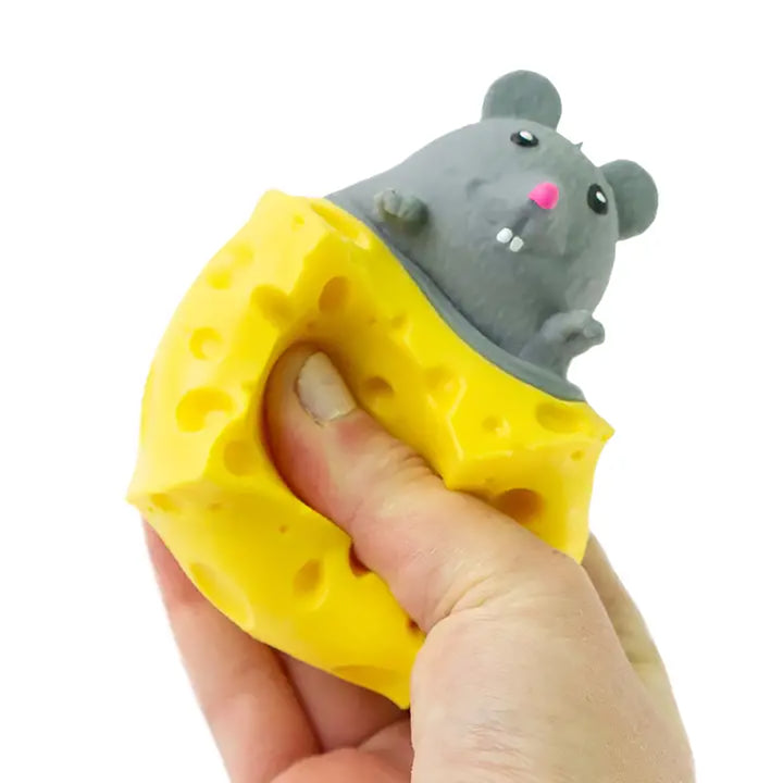 Peek A Boo Mouse in Cheese Sensory Toy