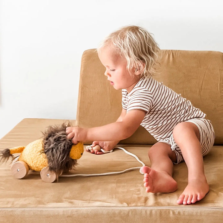 Baby Lion Leo Pull Toy with Wooden Wheels