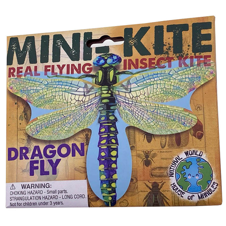 Mini Flying Insect Kites - Three Types Available!