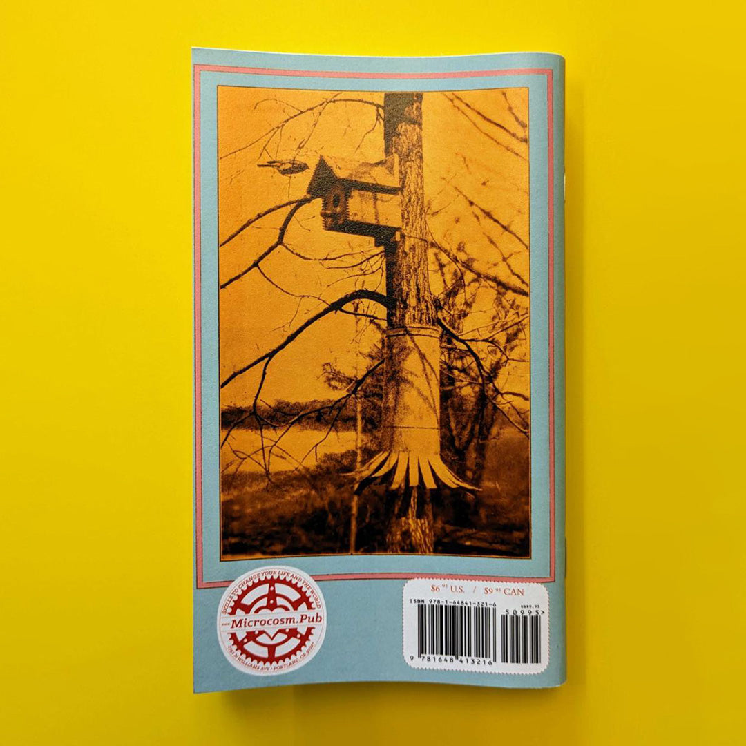 How to Attract Birds (Zine)