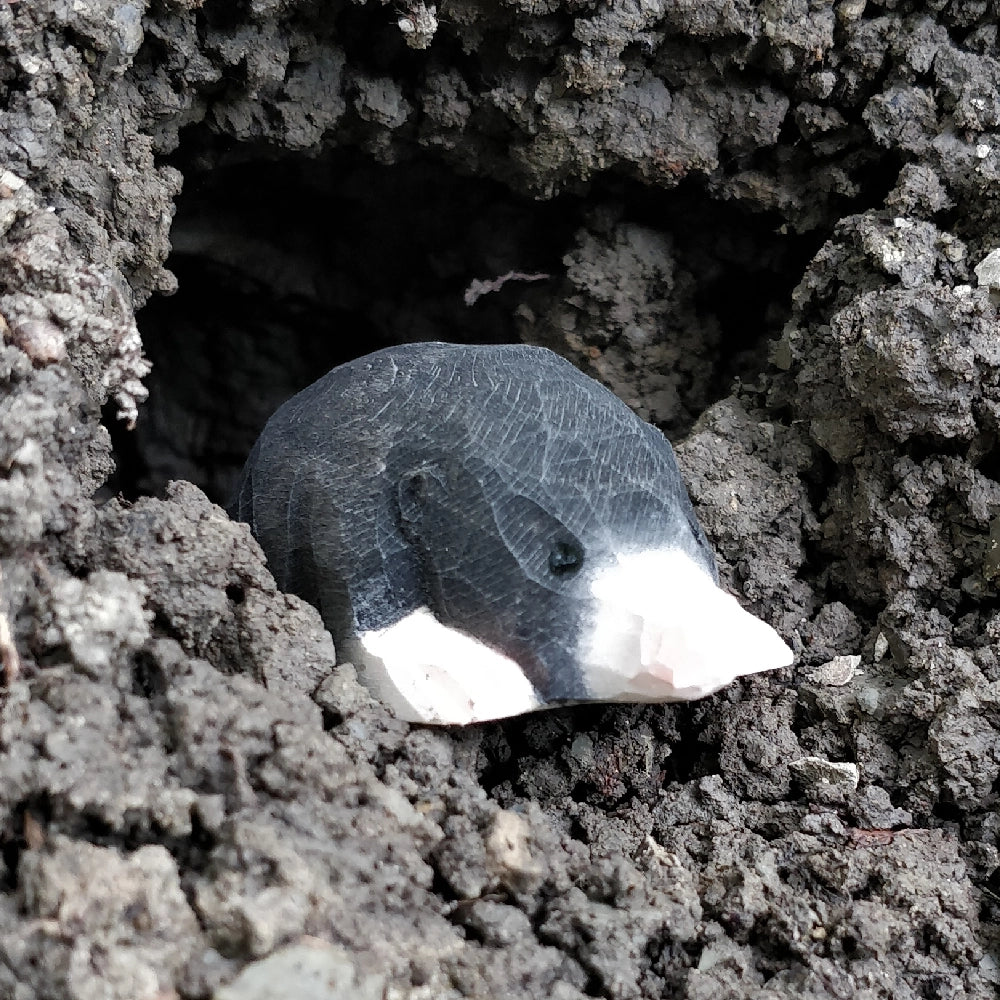 NEW Wooden Mole Animal Toy
