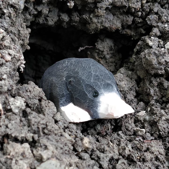 NEW Wooden Mole Animal Toy