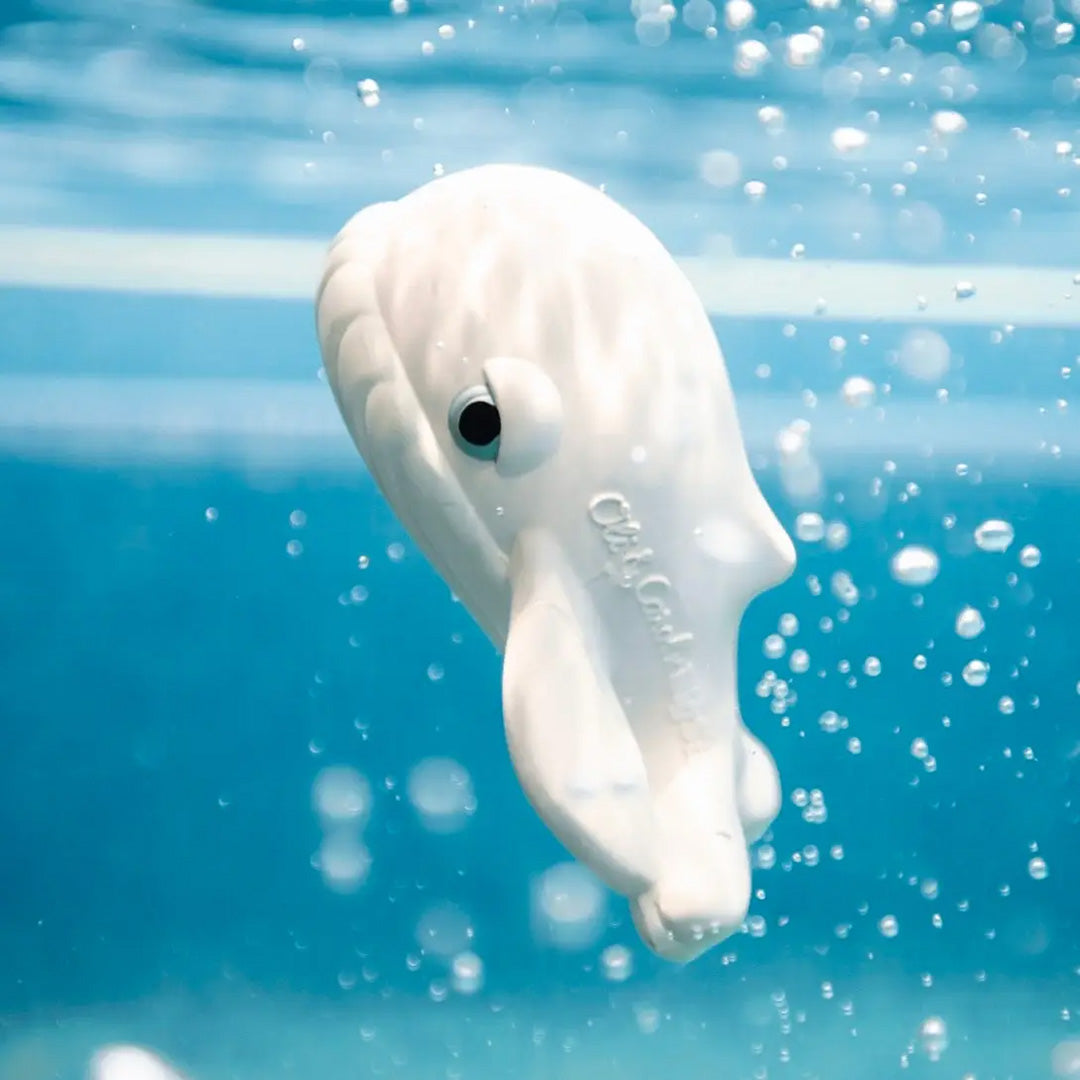 Walter the Whale Teether Bath Toy