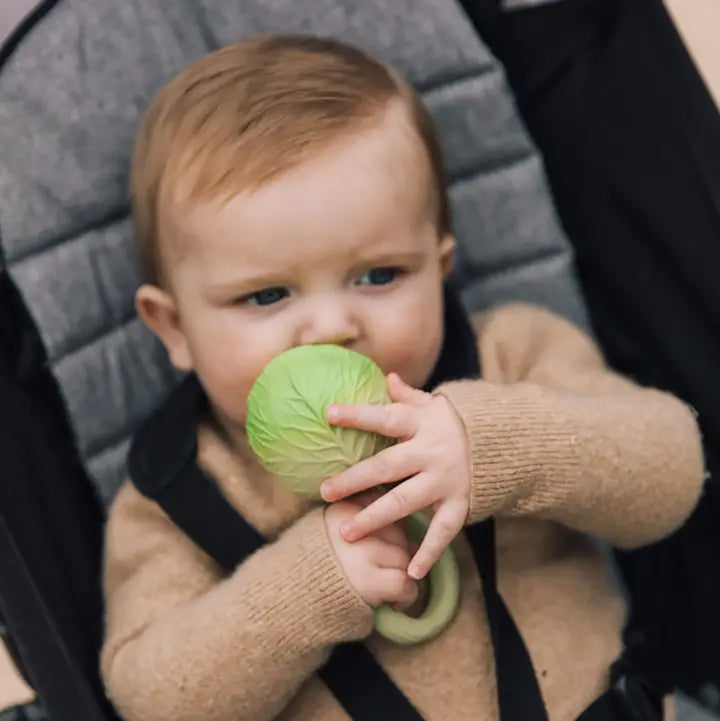Cabbage Rattle Toy