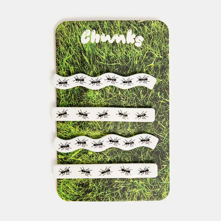 Slides Barrettes in Ants