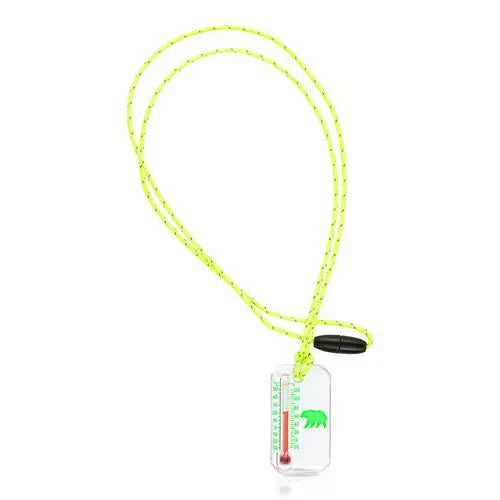 Outdoor Thermometer For Kids - Bear