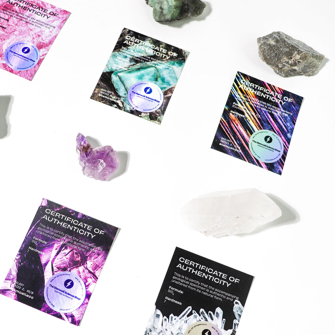 Crystal Blind Bag