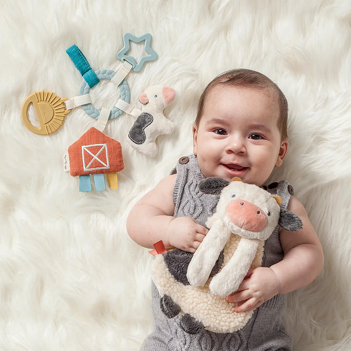 NEW Carmen the Cow Busy Gift Set