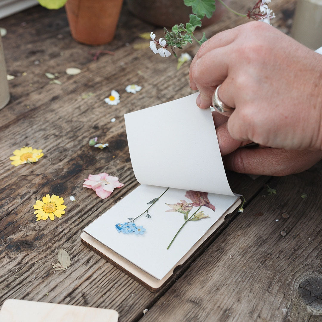 Pocket Flower Press - Forget Me Not