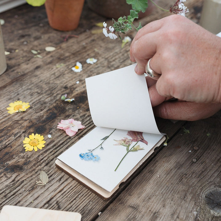 Pocket Flower Press - Forget Me Not
