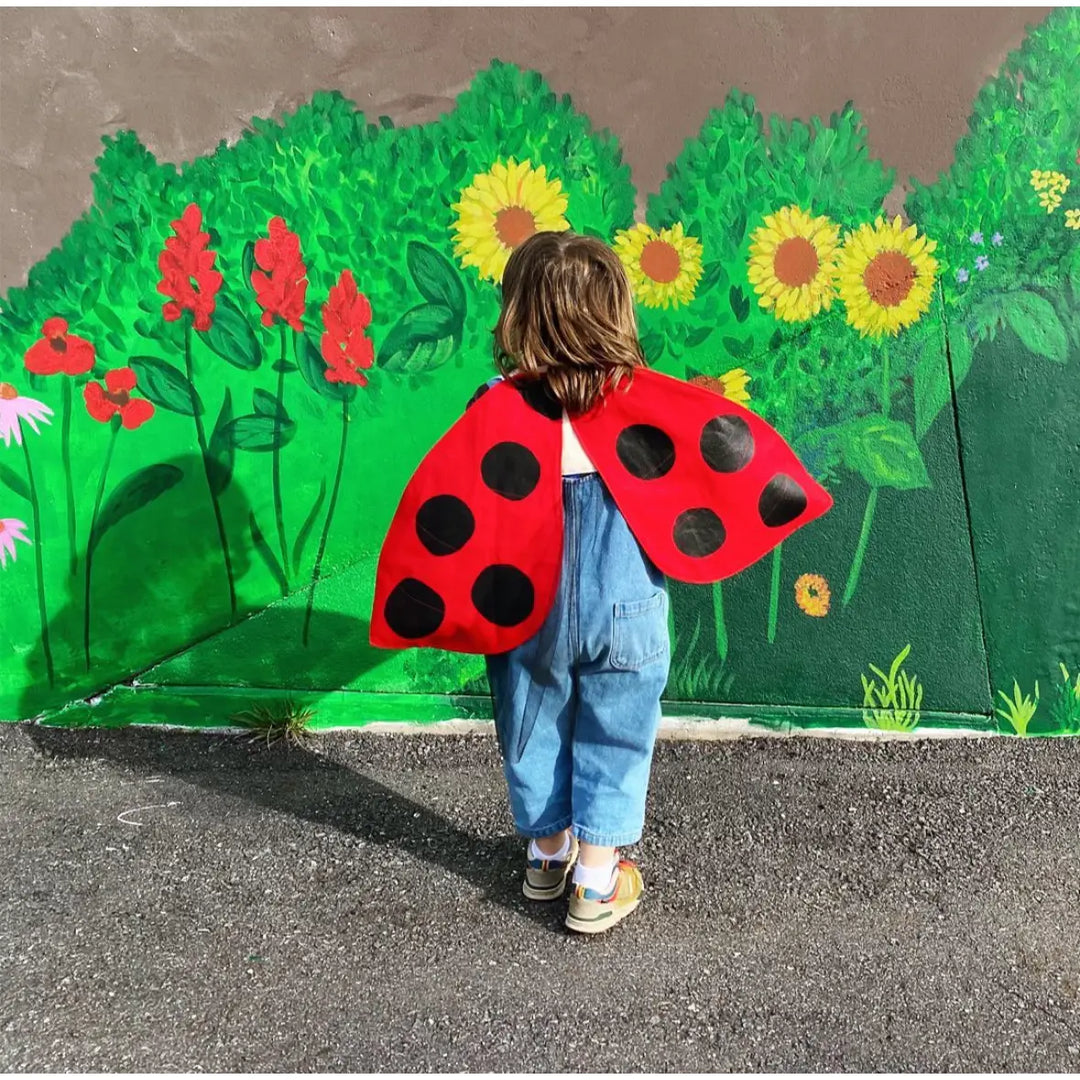 Ladybug Wings