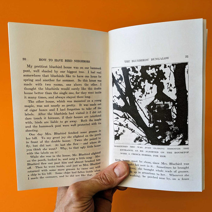 How to Attract Birds (Zine)
