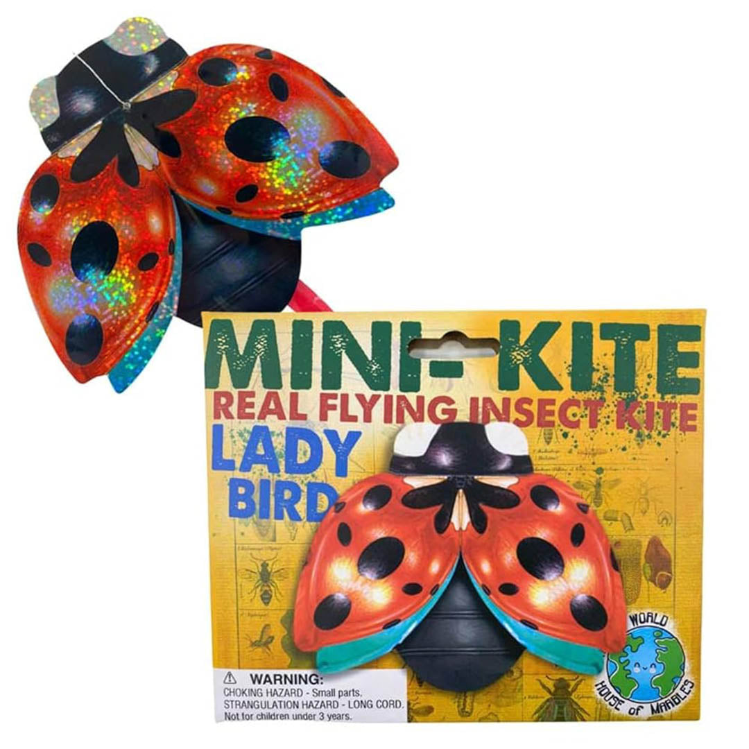 Mini Flying Insect Kites - Three Types Available!