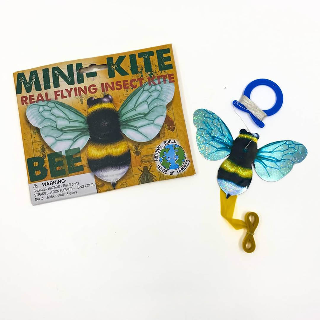 Mini Flying Insect Kites - Three Types Available!