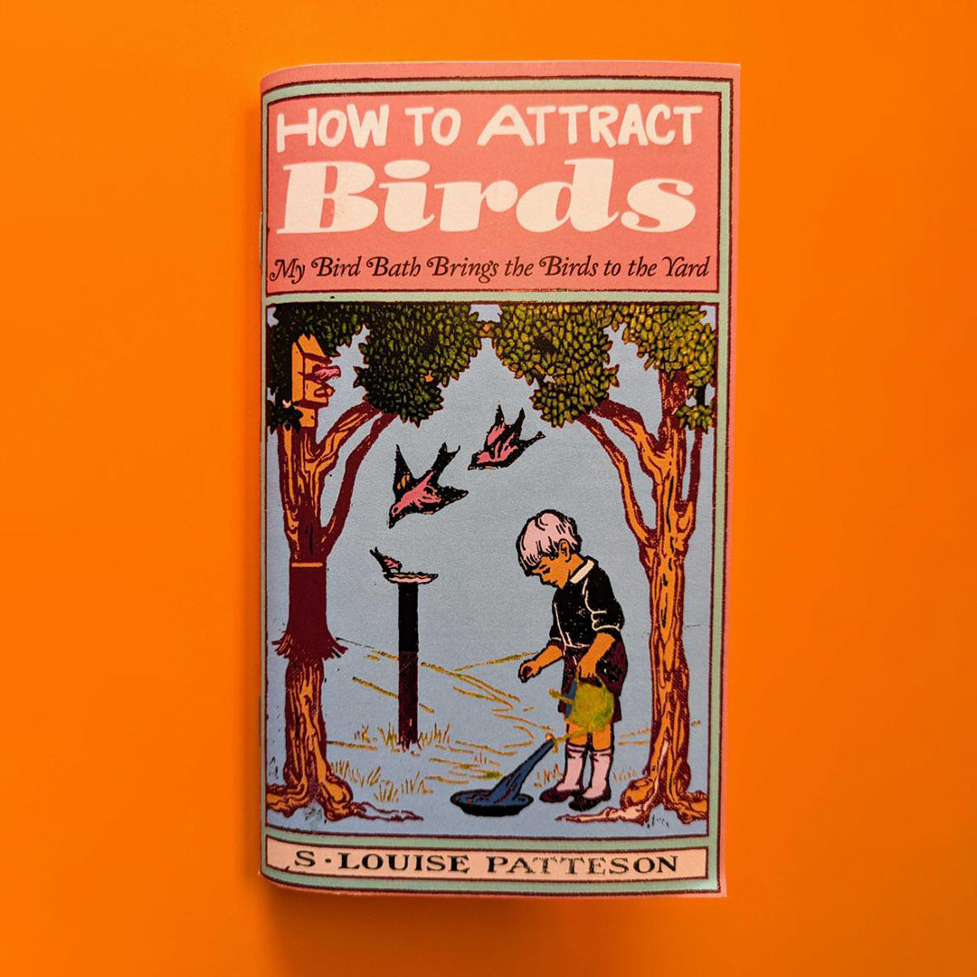 How to Attract Birds (Zine)