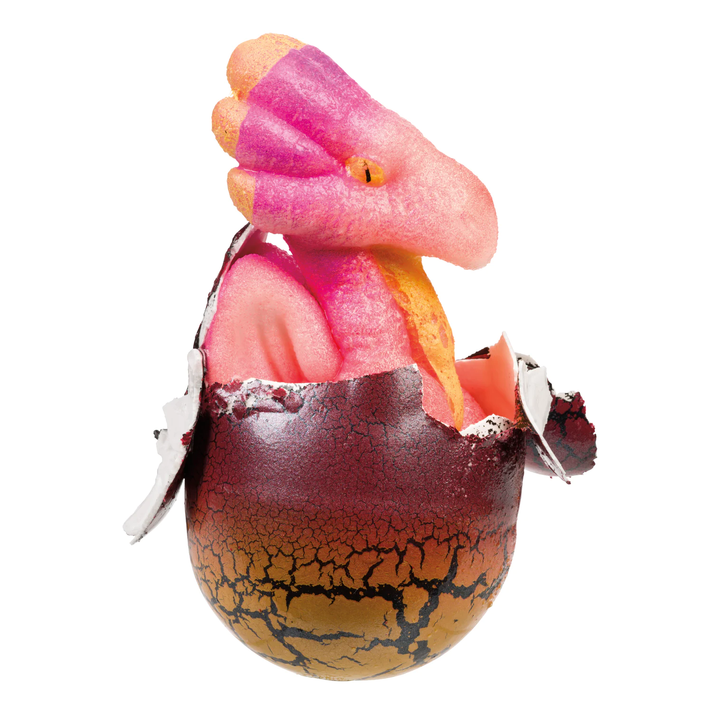 NEW Ginormous Grow Dragon Egg, Just Add Water
