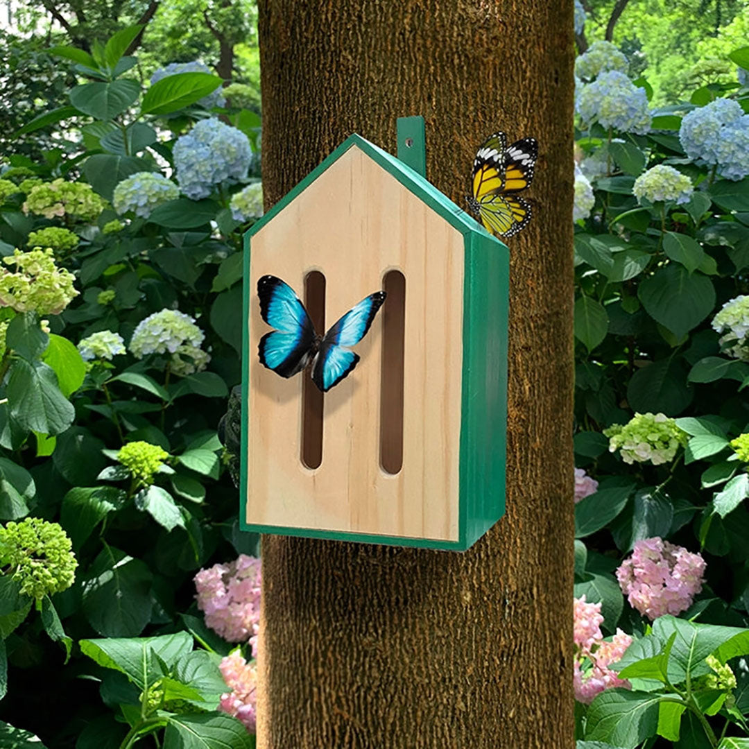 NEW Little Butterfly House