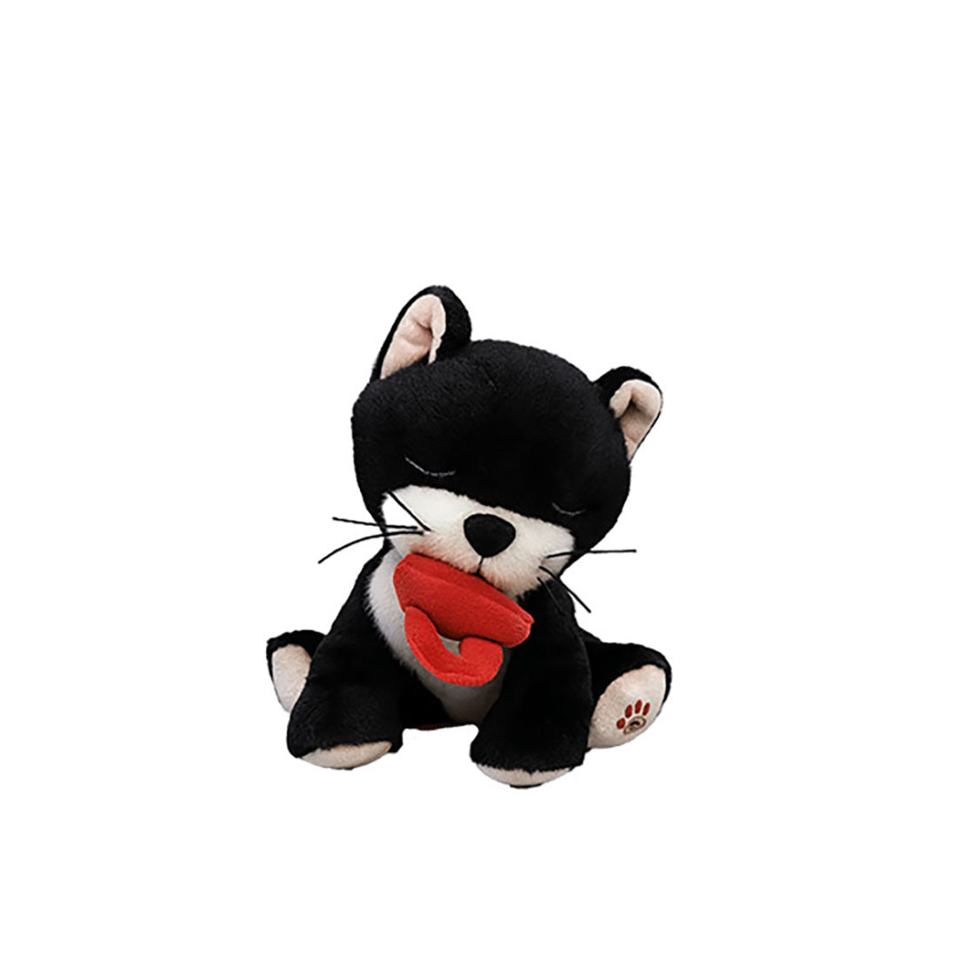 NEW Binky Kitten Kit - Black & White