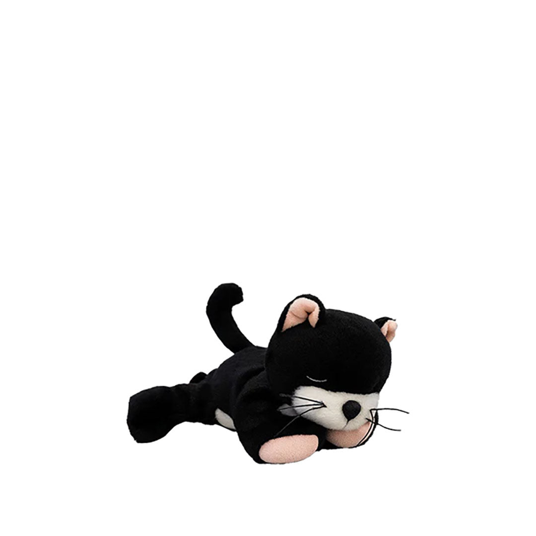 NEW Binky Kitten Kit - Black & White