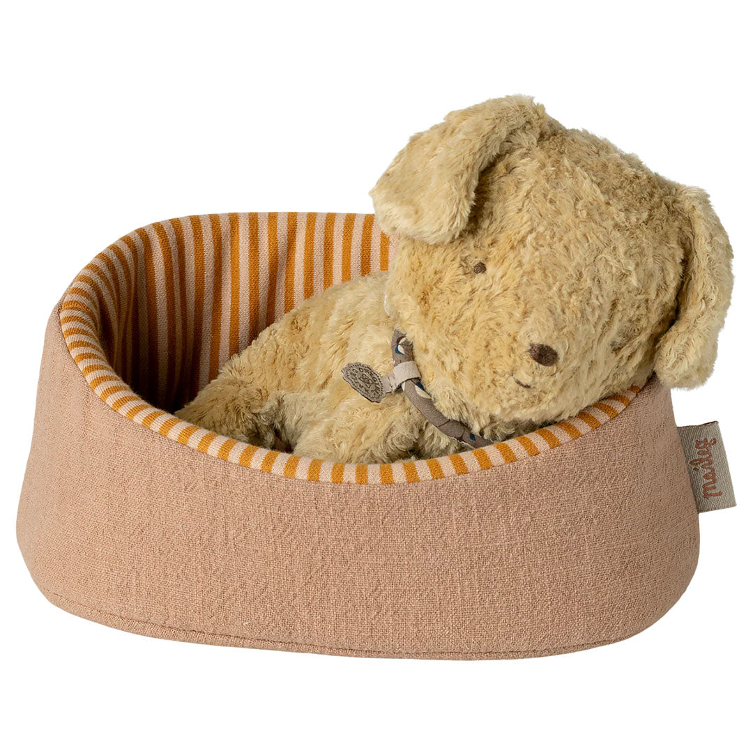 Pet basket - Powder