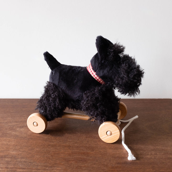 Pull Along Walter the Terrier Puppy
