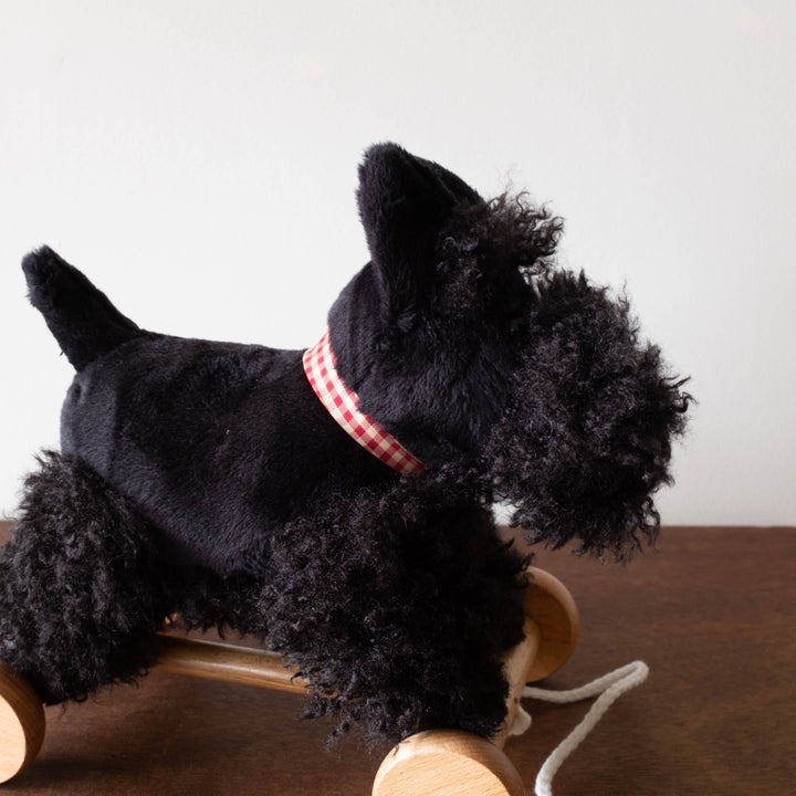 Pull Along Walter the Terrier Puppy