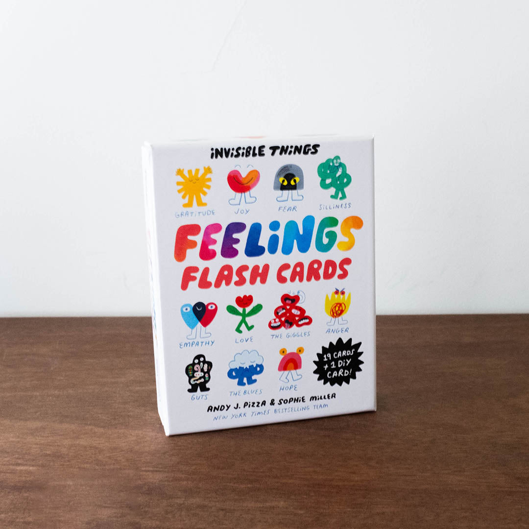 NEW Invisible Things Feelings Flash Cards
