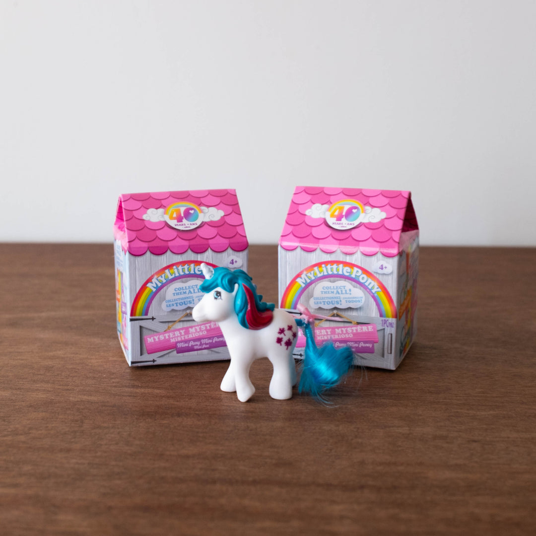 NEW My Little Pony Surprise Box Figures Blind Box