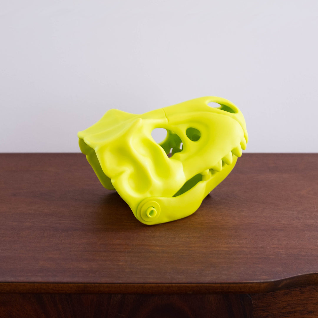 Dino Sand Glove Toy