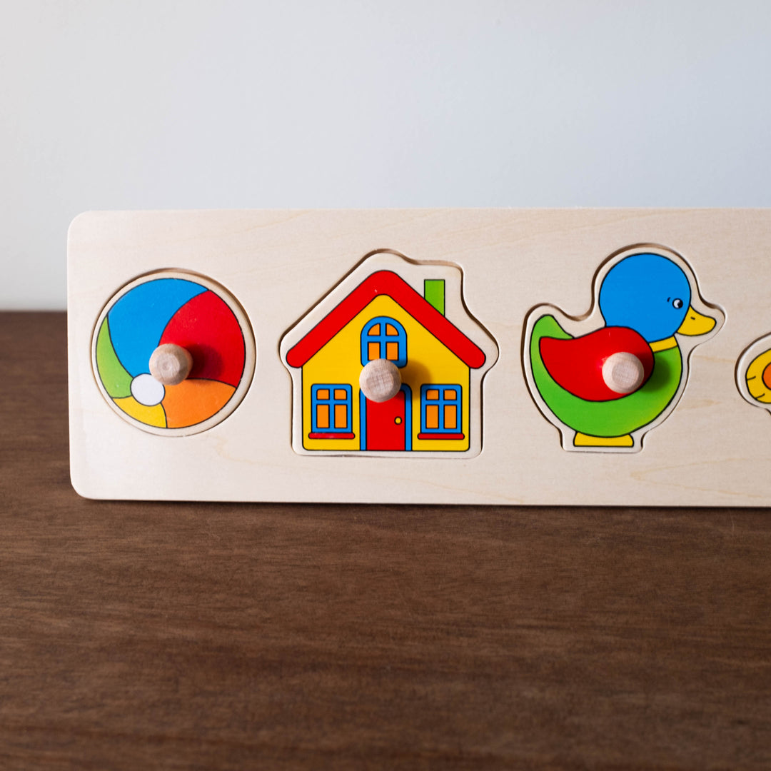 Lift-out Puzzle - Toys