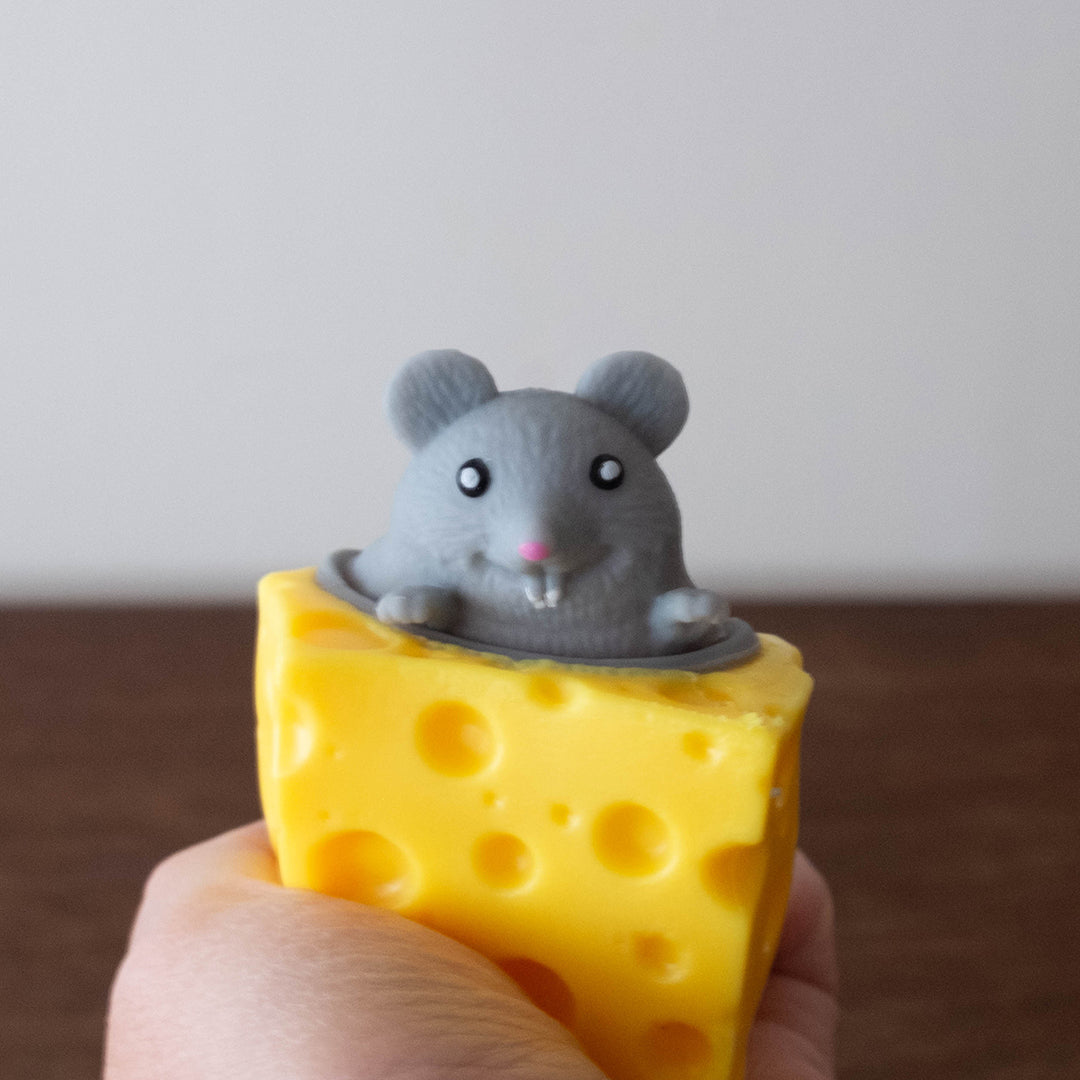 Peek A Boo Mouse in Cheese Sensory Toy