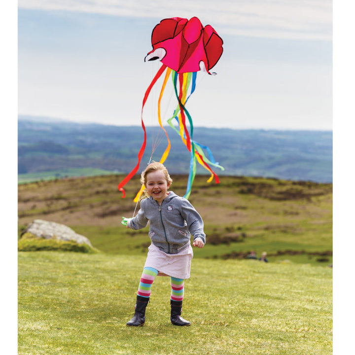 NEW Octopus Kite - Assorted Colors