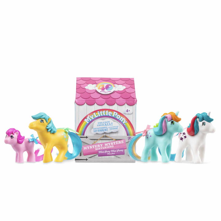 NEW My Little Pony Surprise Box Figures Blind Box