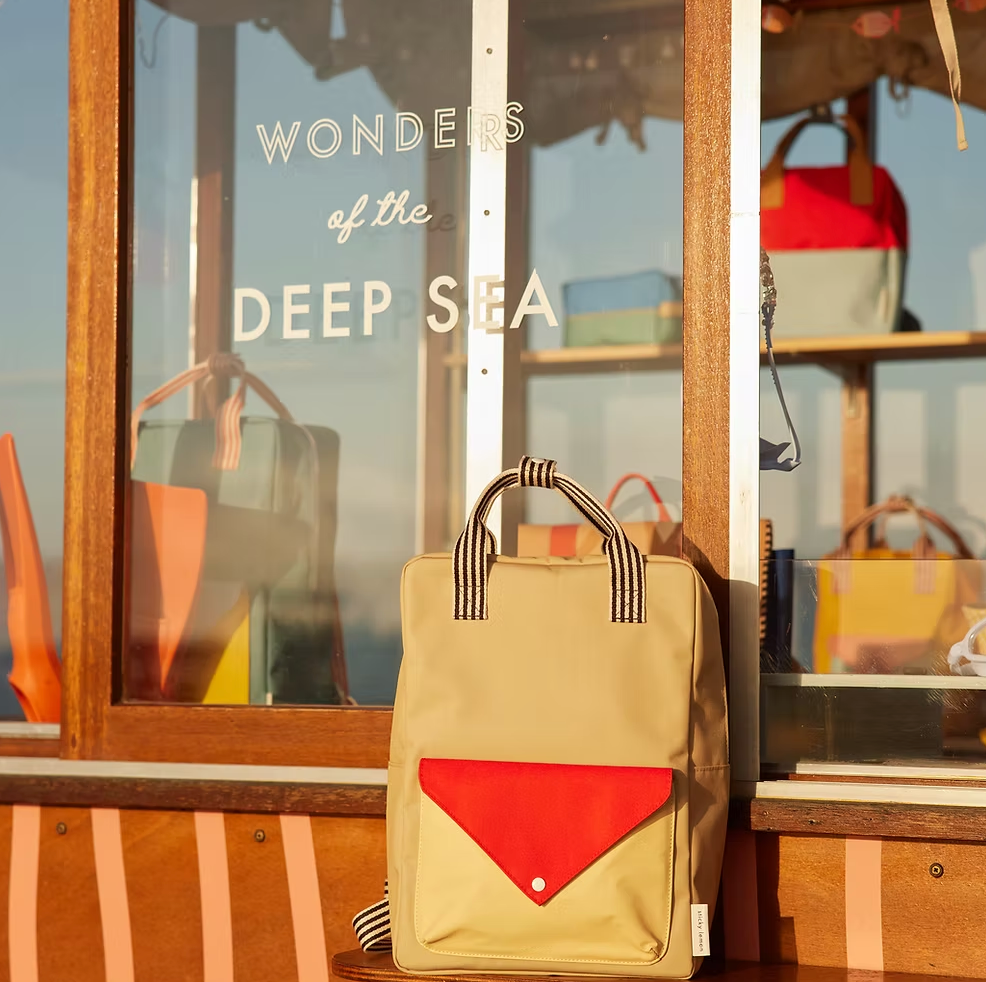 NEW Limited Large Backpack Bag - Reed Envelope