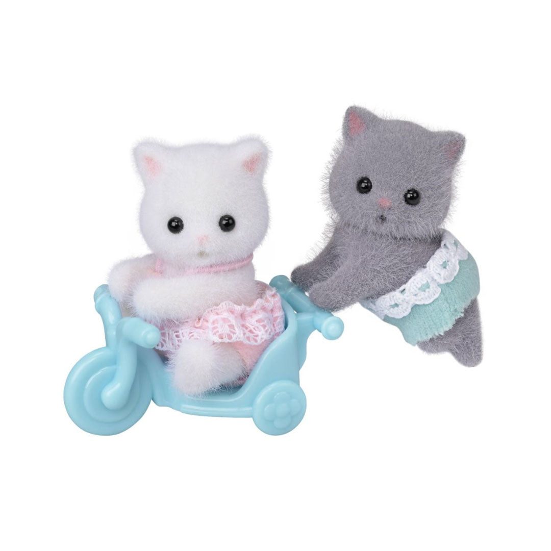 Persian Cat Twins (2026)