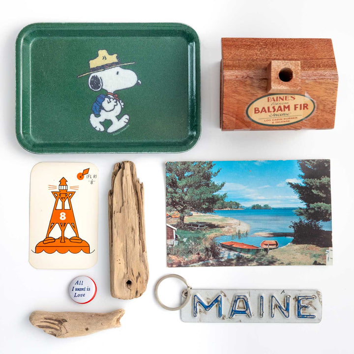 NEW Snoopy Hike Tray