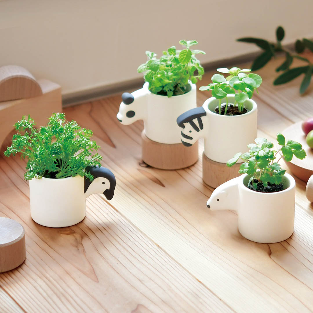 Monokuro Animals Plant Cultivation Kit - Four Styles Available!