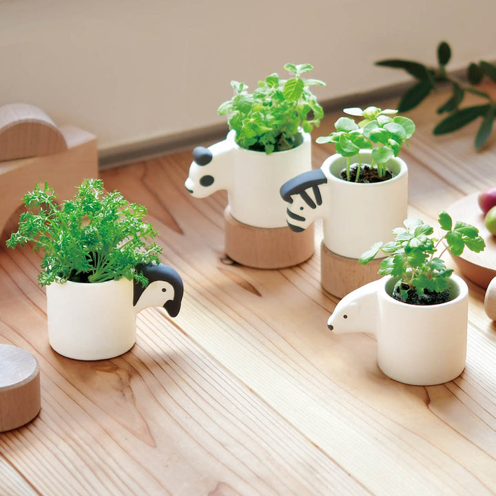 Monokuro Animals Plant Cultivation Kit - Four Styles Available!