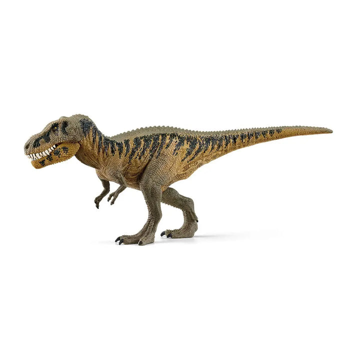 NEW Tarbosaurus Dinosaur Toy