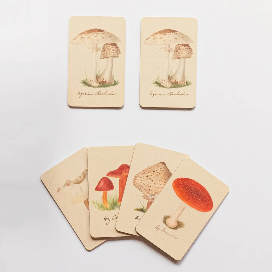 NEW Memory Game - Fungi Mushroom