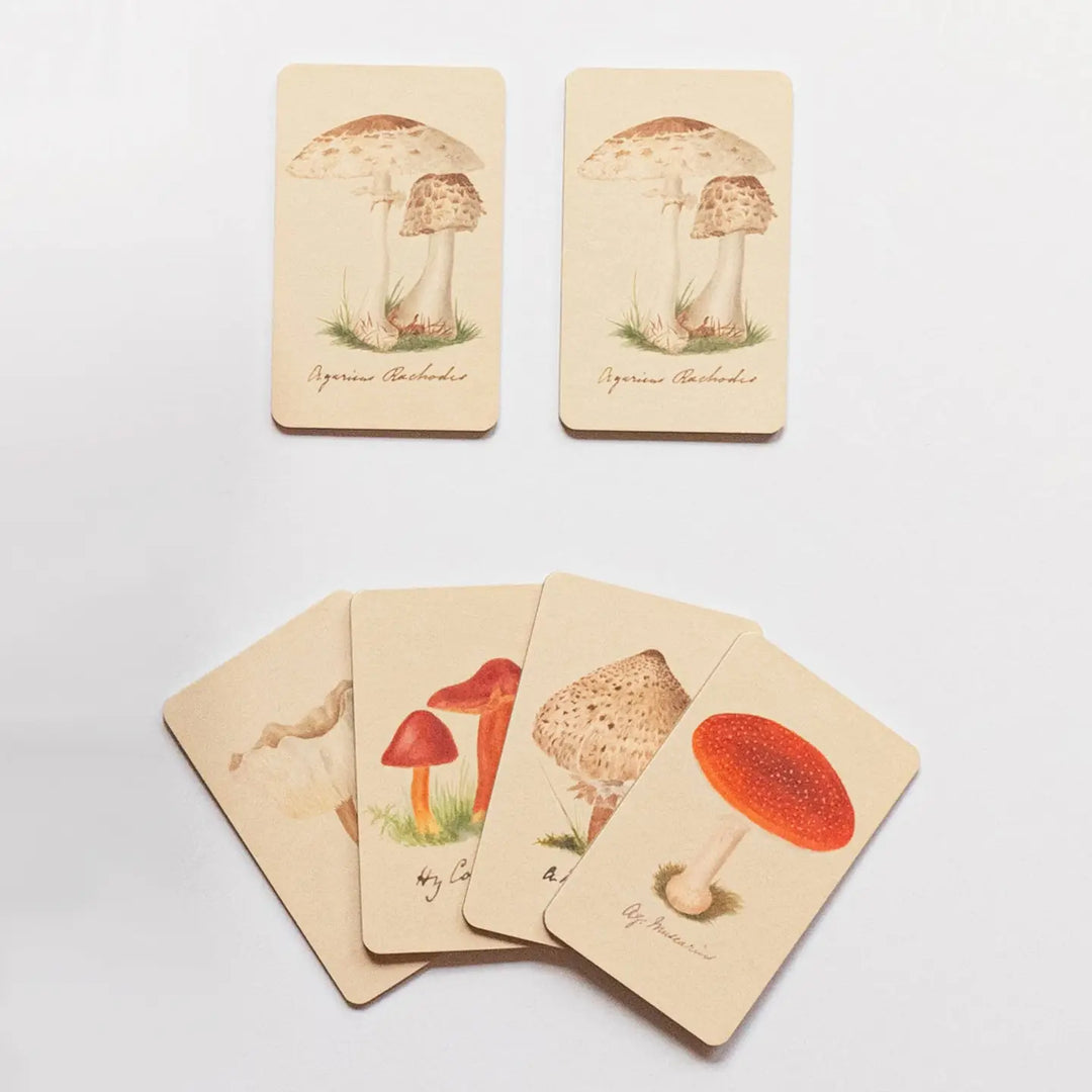 NEW Matching Game - Fungi Mushroom