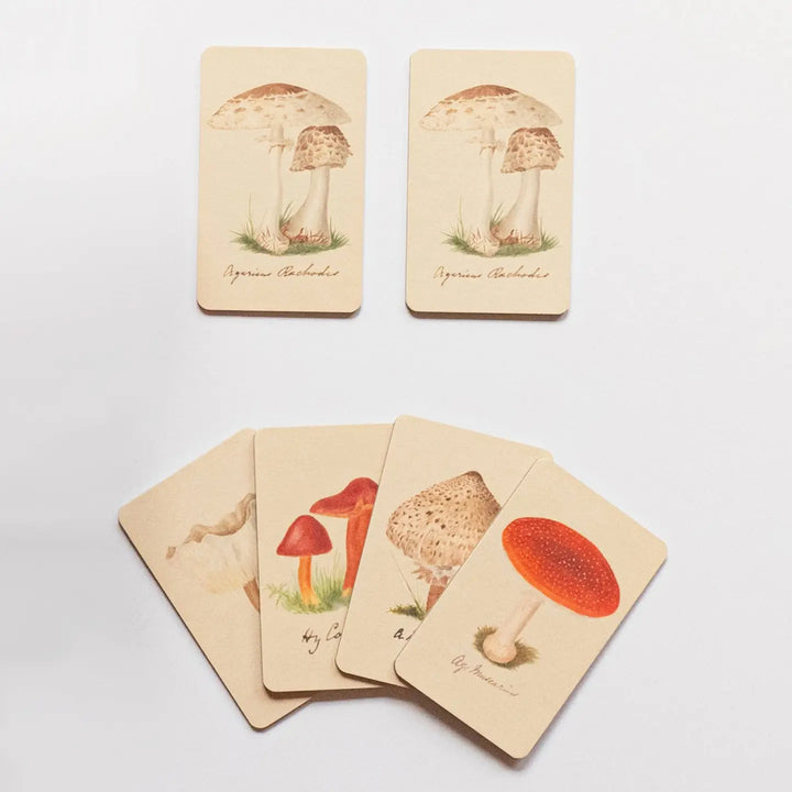 NEW Matching Game - Fungi Mushroom