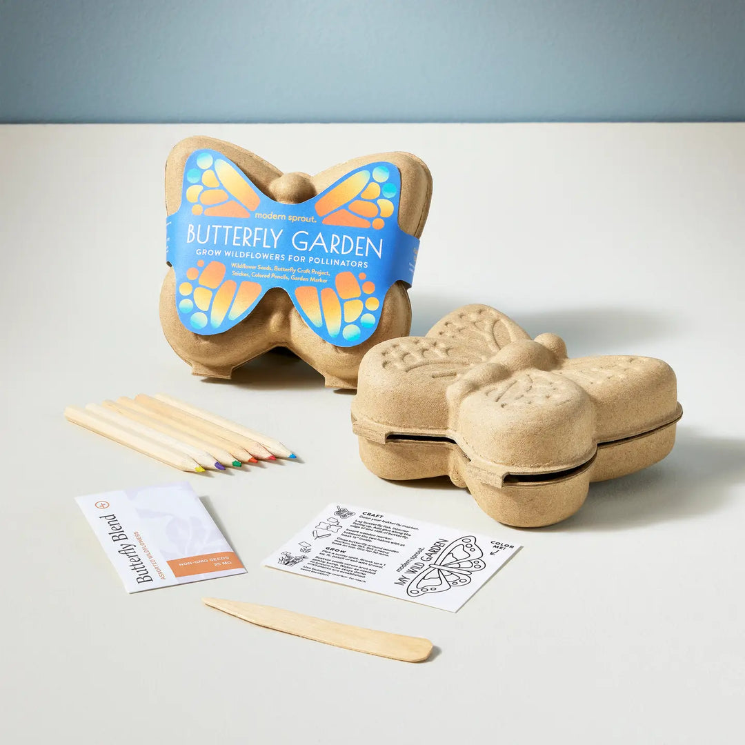 NEW Curious Critters Activity Kit- Butterfly