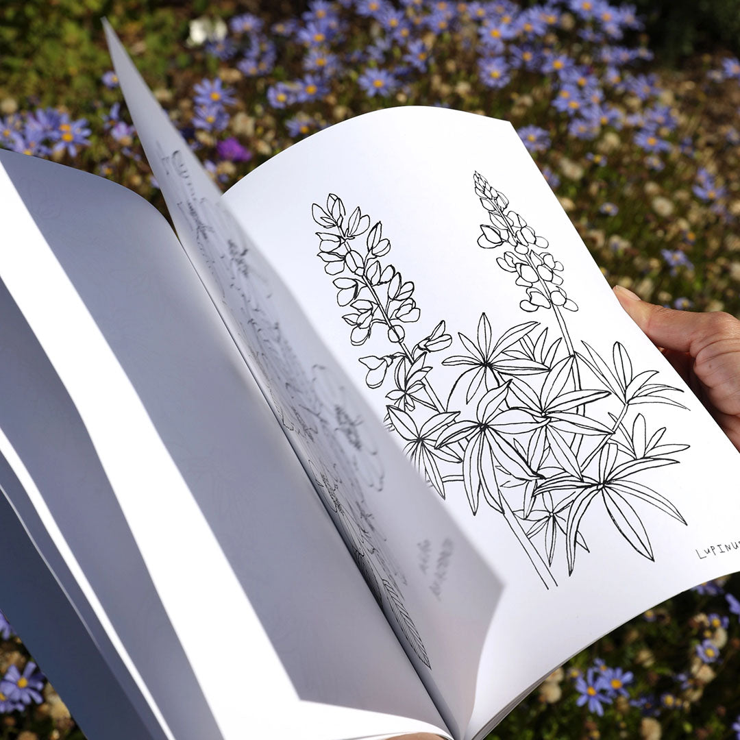 Buds Along the Path Coloring Book