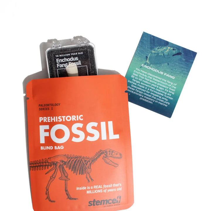 Fossil Blind Bag