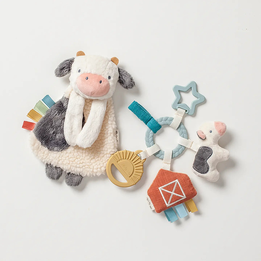NEW Carmen the Cow Busy Gift Set