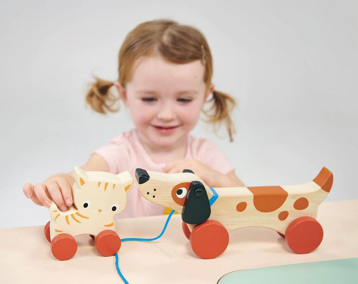 NEW Wooden Kitten on Wheels