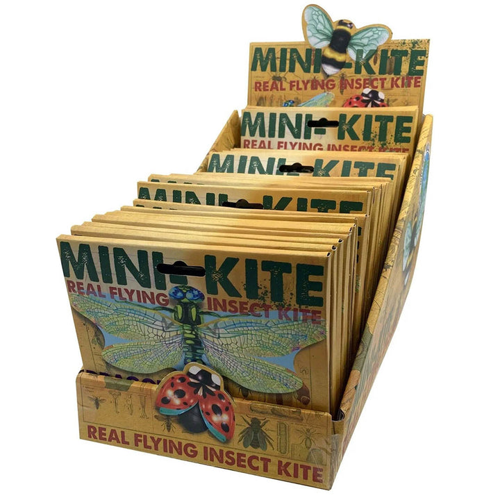 Mini Flying Insect Kites - Three Types Available!