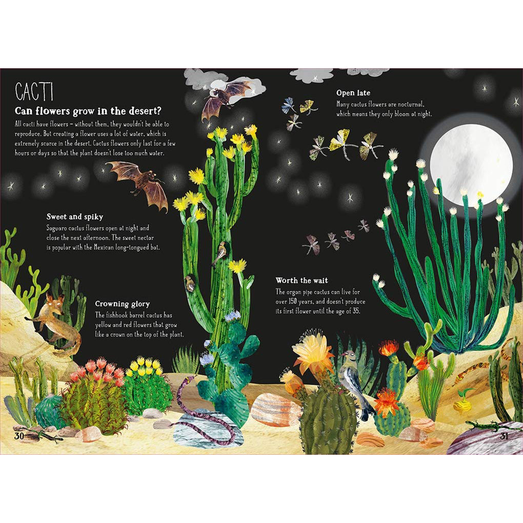Big Book of Blooms