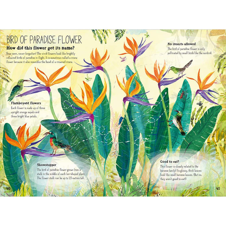Big Book of Blooms